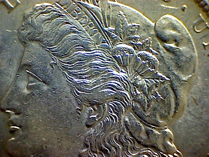 Grade-My-Morgans